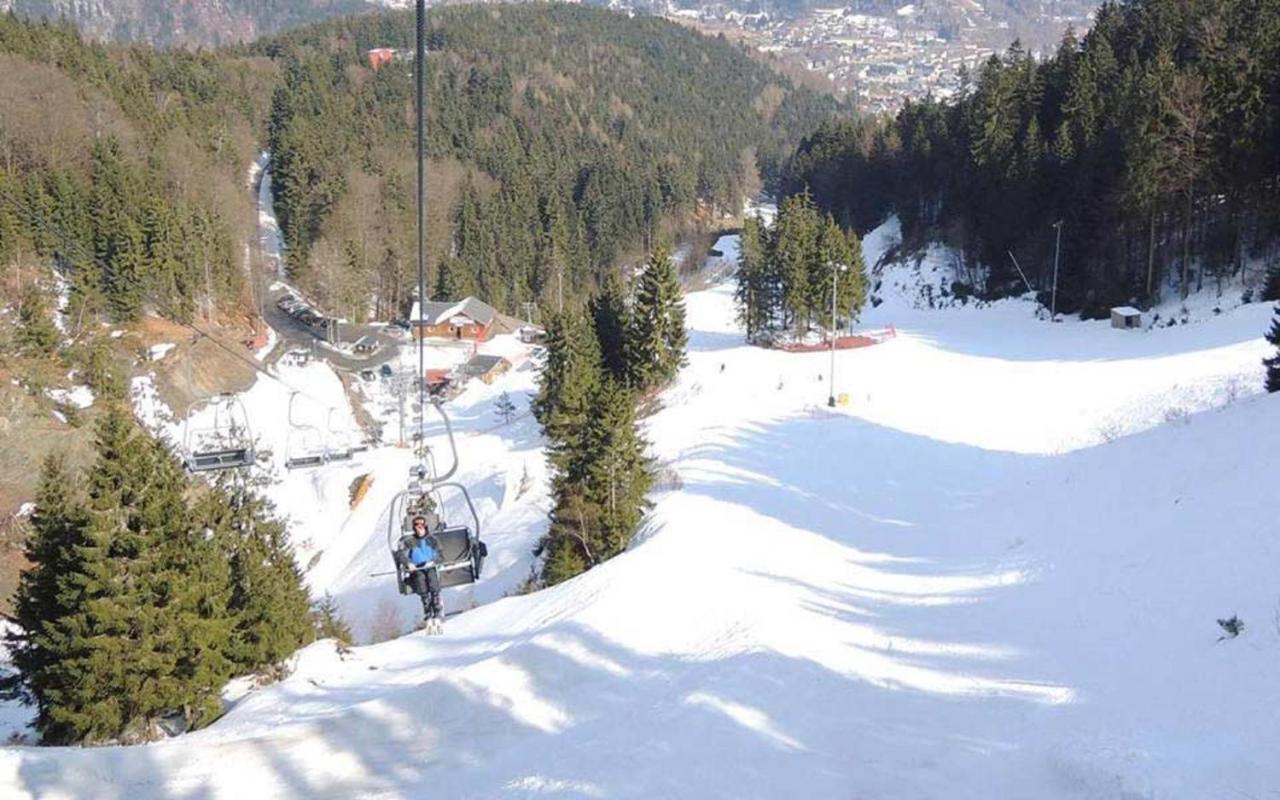 Ferienwohnung Klaus Im Tal Der Steinach Steinach  Exterior foto