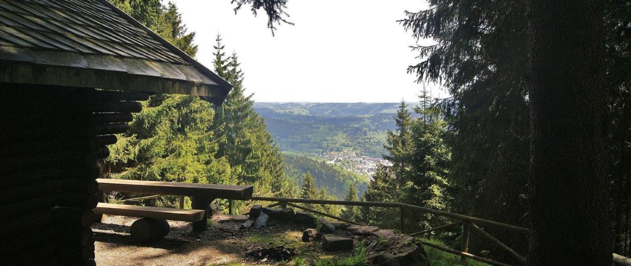 Ferienwohnung Klaus Im Tal Der Steinach Steinach  Exterior foto