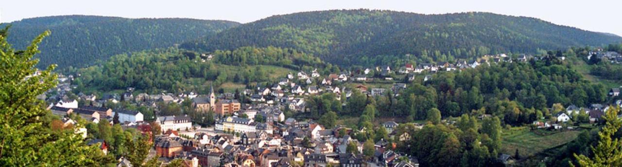 Ferienwohnung Klaus Im Tal Der Steinach Steinach  Exterior foto